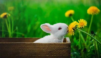 九游下载安装-英超精彩逆转，关键战术调整助力胜利，英超战术分析