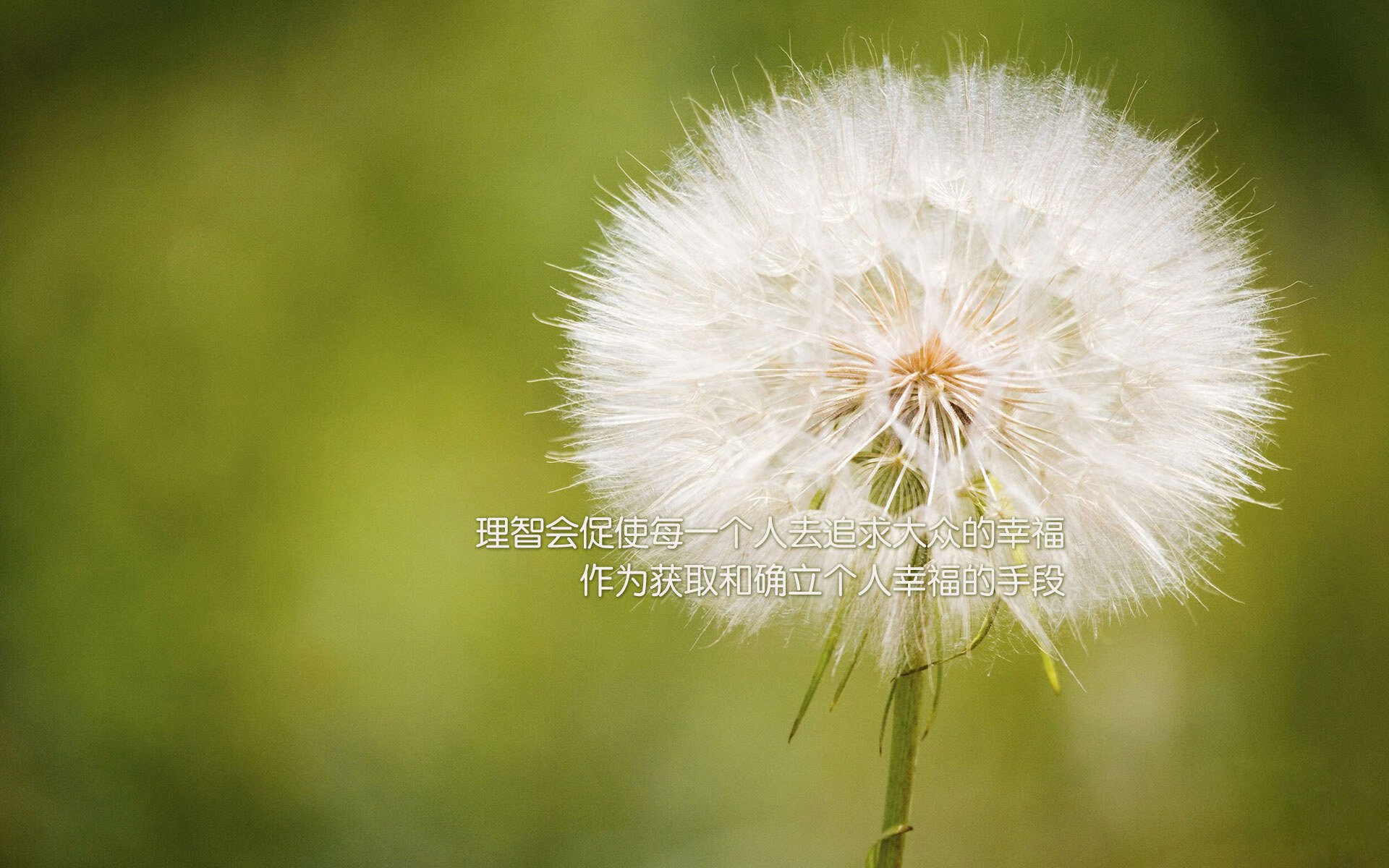 博塔弗戈进攻端配合不够默契，博塔弗戈vs累体育