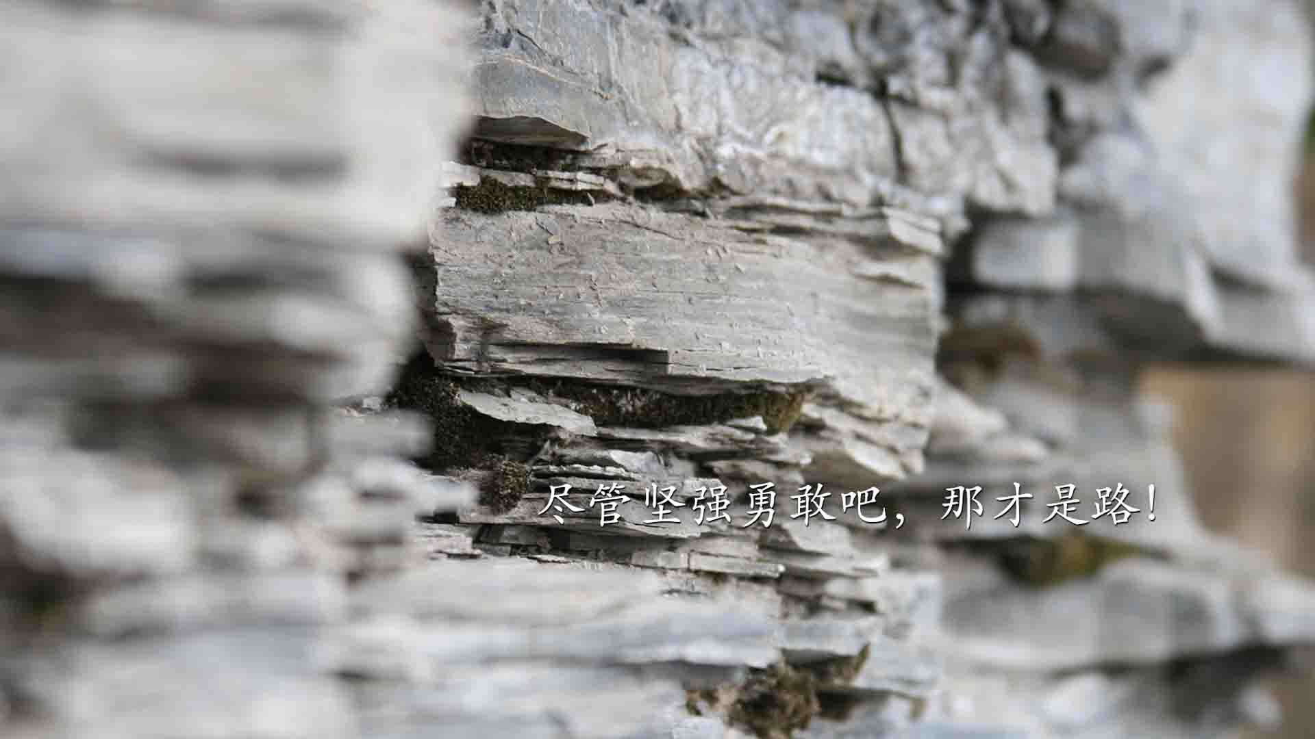 西部半决赛焦点战精彩回顾,西部半决赛赛程